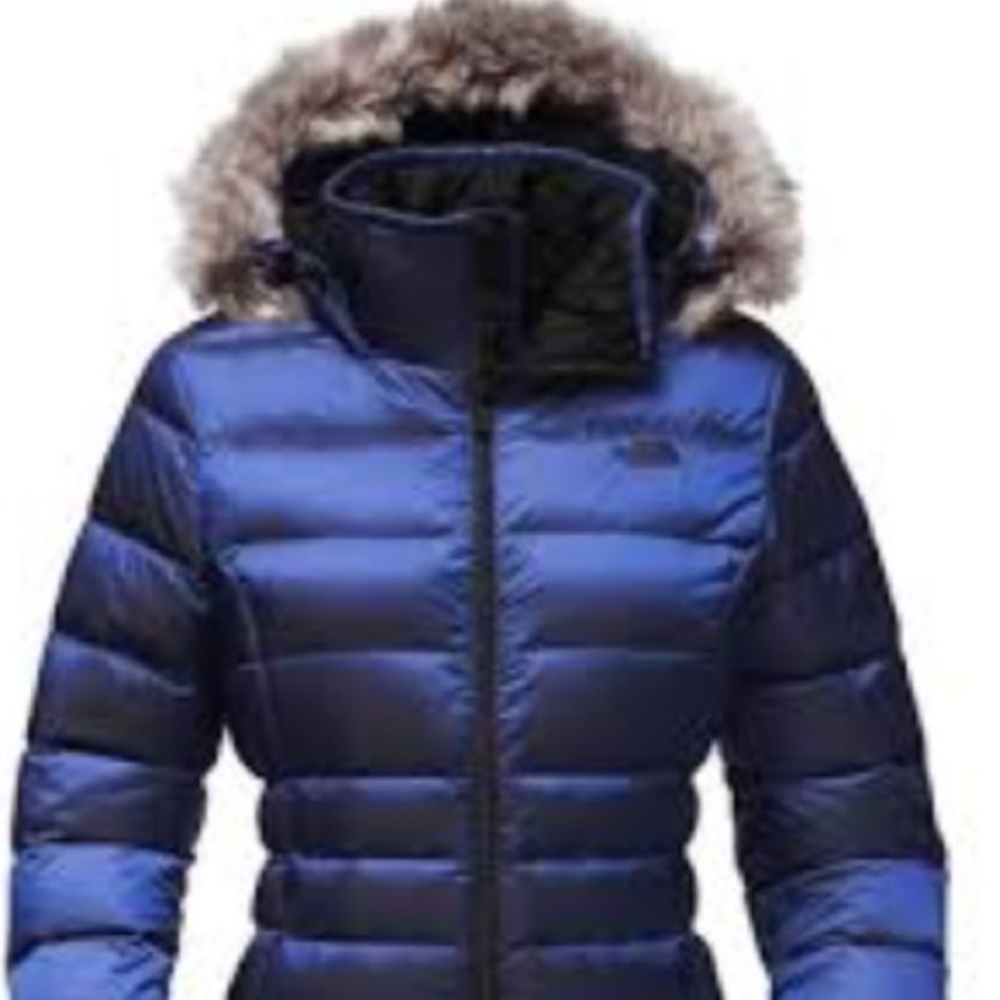 ⚡️The North Face Gotham II Hooded Down Jacket⚡️